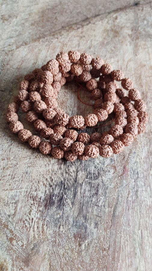 Bracelet collier en rudraksha tibetain